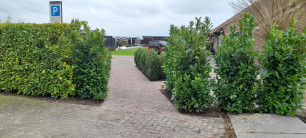 Toegangspad Chaletpark Resort Venetië